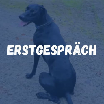 Erstgespräch
