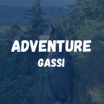 Adventure Gassi