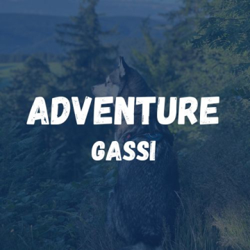 adventure gassi