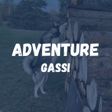 Adventure Gassi