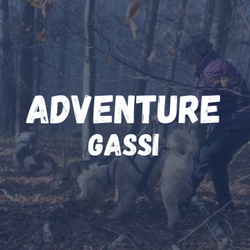 Adventure Gassi