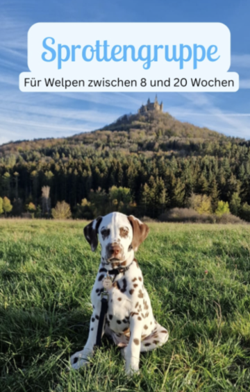 Sprotten