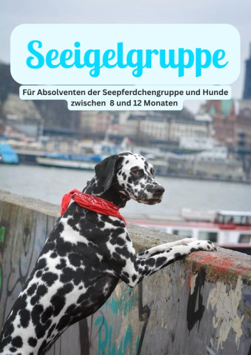 Seeigelgruppe