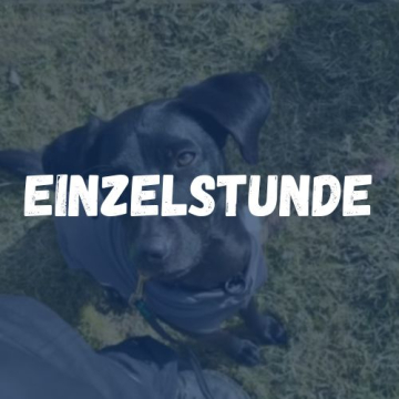 Einzelstunde