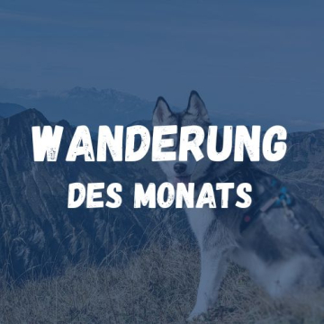 wanderung des monats