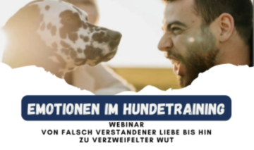 emotionen kleiner