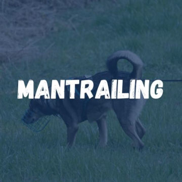 mantrailing_1