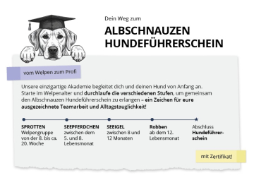 hundefuihrerschein-webiste-start