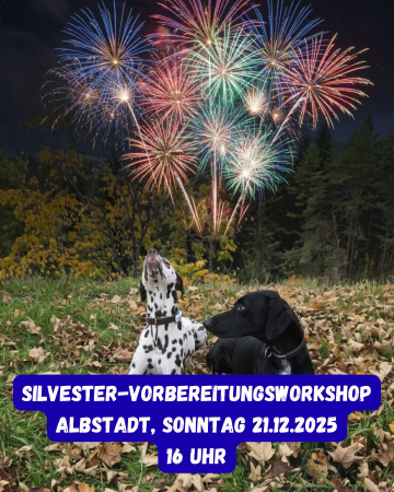 WhatsApp Bild 2025-11-29 um 20