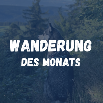 Wanderung des Monats