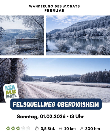 Felsquellweg_Oberdigisheim_ausschreibung