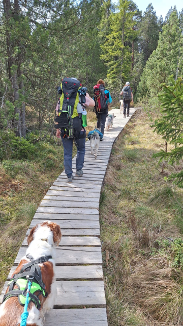 wanderung