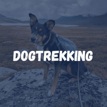 Dogtrekking