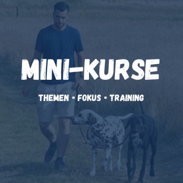 Mini-Kurse