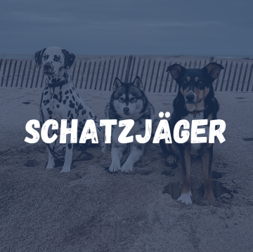Albschnauzen Schatzjäger Cover