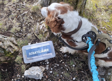 Schatzjäger charly