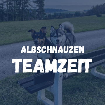 Teamzeit
