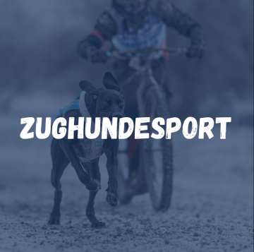 Zughundesport