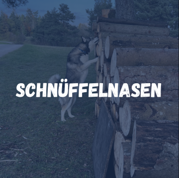 Schnüffelnasen