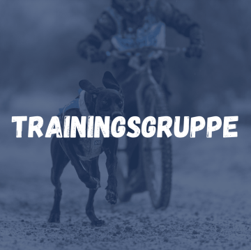 Zughundesport Trainingsgruppe