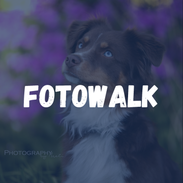 cover fotowalk