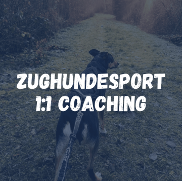 Zughundesport 1:1 Coaching